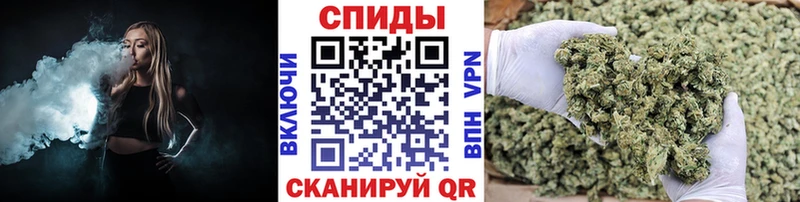 купить   Барыш  Бутират BDO 