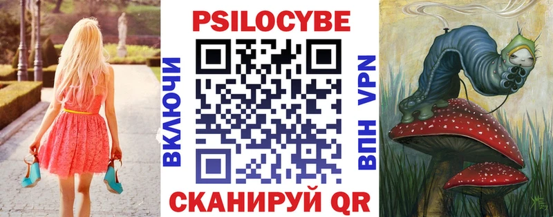 Псилоцибиновые грибы прущие грибы  Барыш 